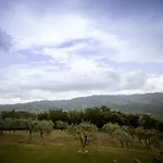Panzanello Panzano in Chianti